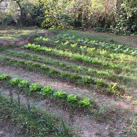 Umbria In Bike B&B Foligno Zewnętrze zdjęcie