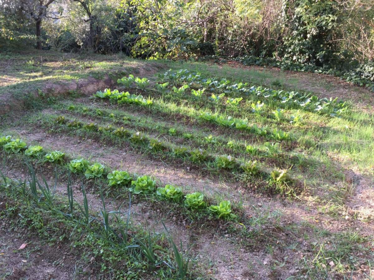 Umbria In Bike B&B Foligno Zewnętrze zdjęcie