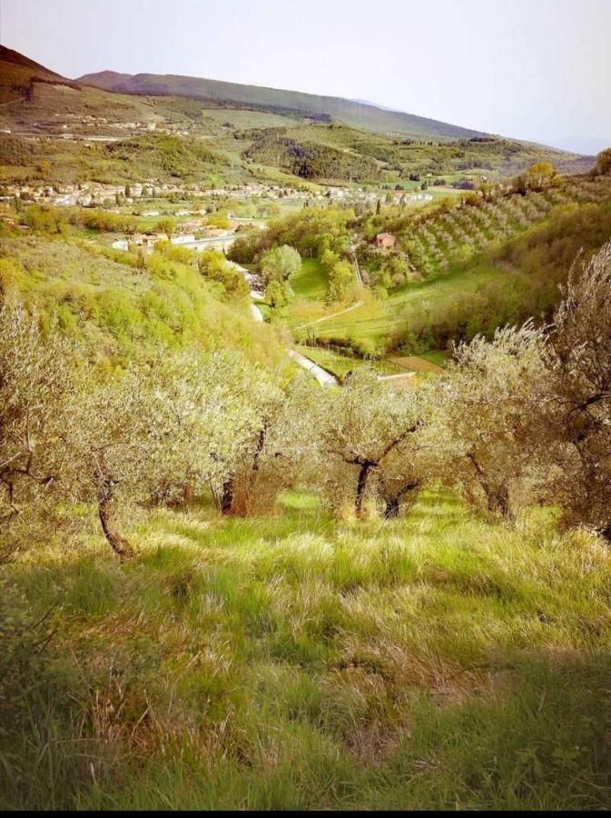 Umbria In Bike B&B Foligno Zewnętrze zdjęcie